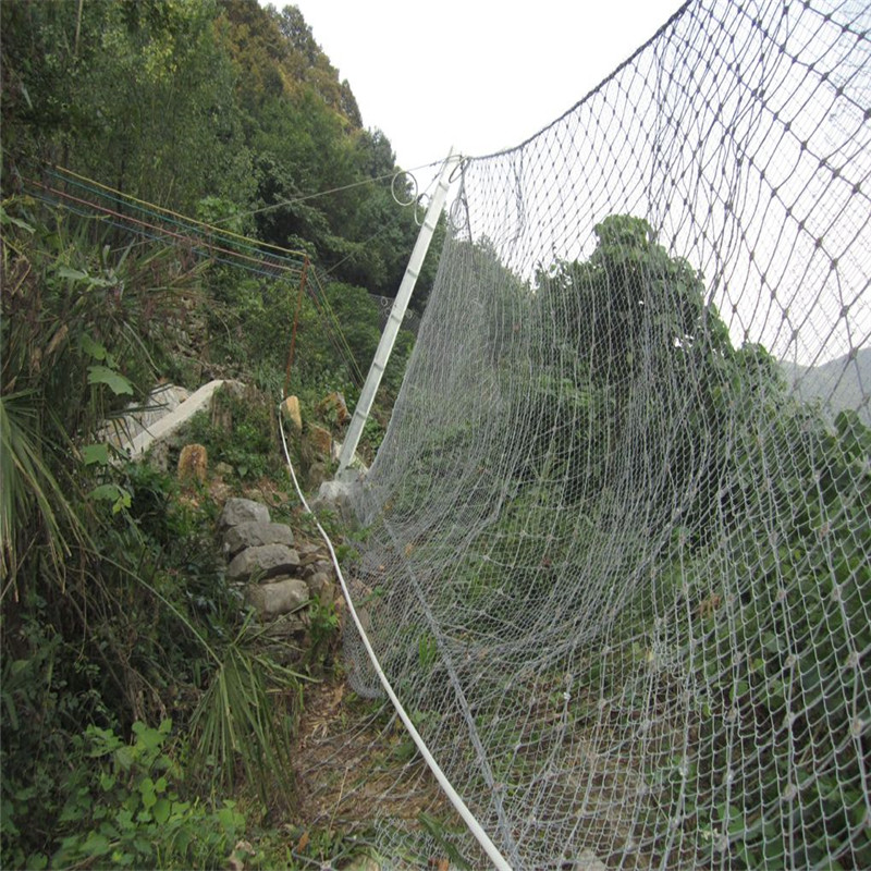平陽生態(tài)綠化被動(dòng)網(wǎng) 虎易網(wǎng).jpg